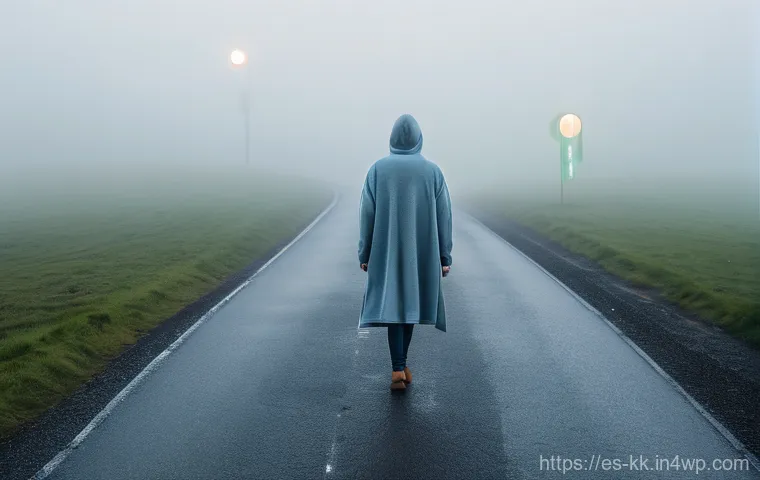 윤리적 나침반 개발 시 발생할 수 있는 오류 - **Cognitive Biases: The Misted Path of Perception**
A lone figure, dressed in a contemporary, mo...